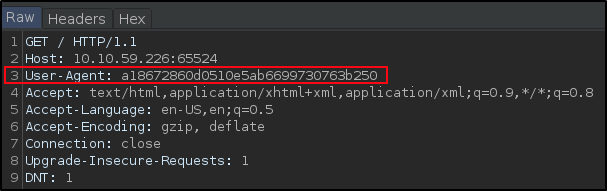 Modifying agent string in Burp